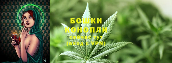 PSILOCYBIN Беломорск
