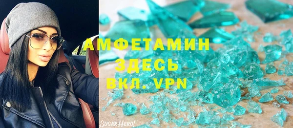 молекула духа Богородицк