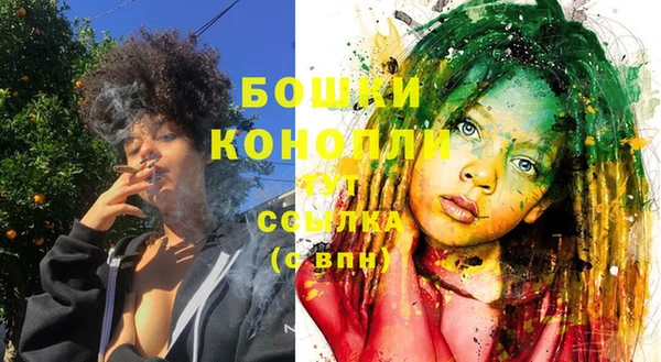 PSILOCYBIN Беломорск