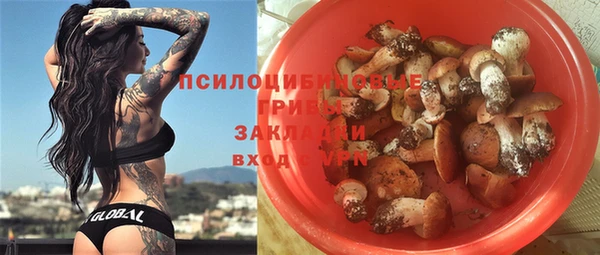 молекула духа Богородицк