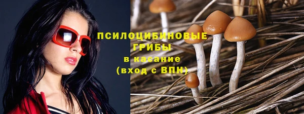 молекула духа Белокуриха