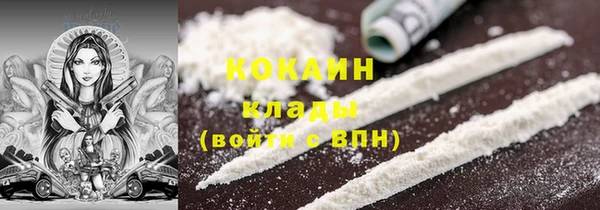 молекула духа Богородицк