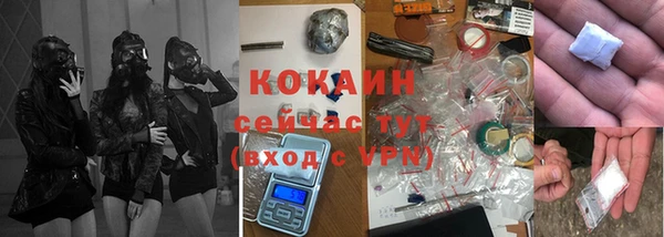 молекула духа Богородицк