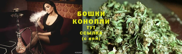 молекула духа Белокуриха