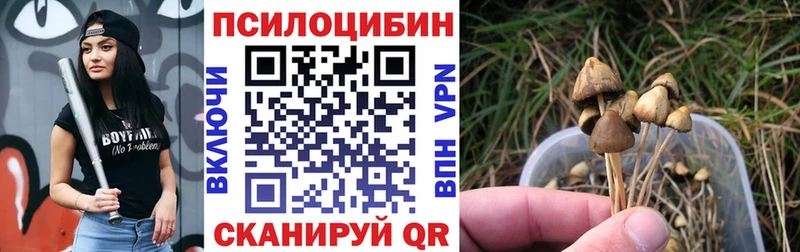 Галлюциногенные грибы ЛСД  Соль-Илецк 