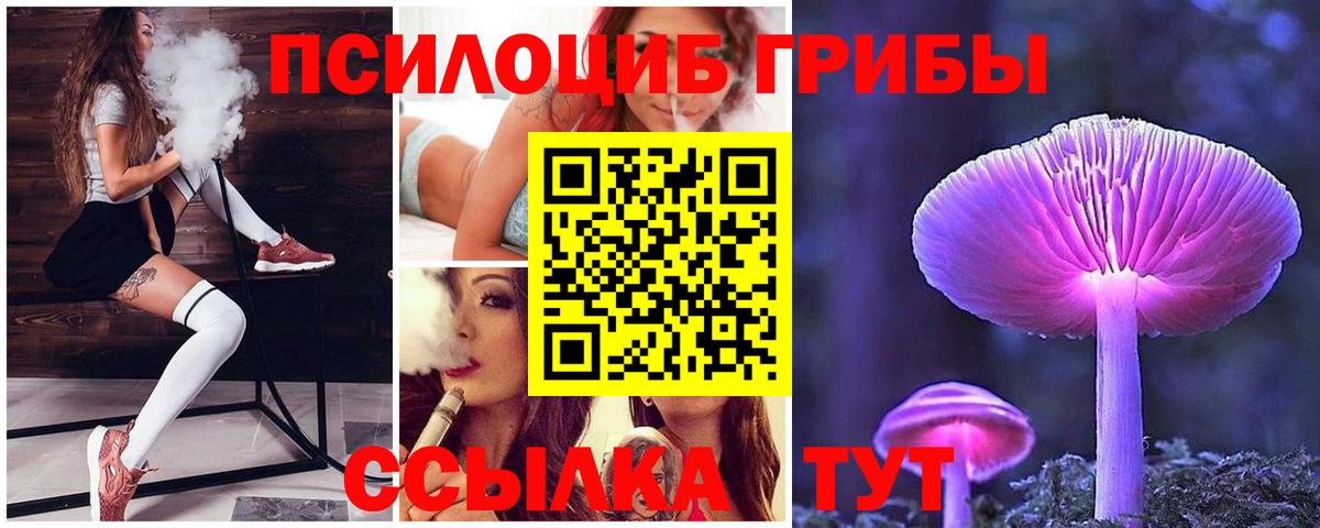 Псилоцибиновые грибы Magic Shrooms Соль-Илецк