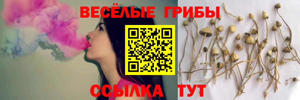 Галлюциногенные грибы Magic Shrooms  Галлюциногенные грибы Psilocybe  Вход с VPN  купить наркотики сайты  Соль-Илецк 