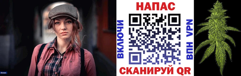мега как войти Соль-Илецк Бошки марихуана Ganja